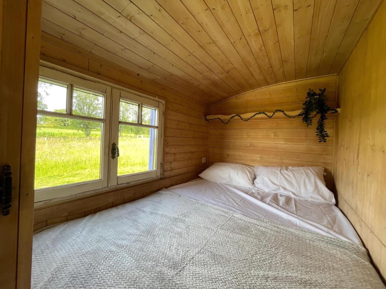 Les Logements Insolites De La Base Nautique Verneuil  Экстерьер фото